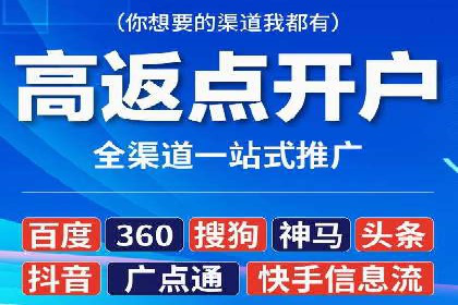 行业领先的SEM竞价广告投放案例